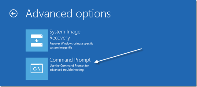 Advanced Installation Repair Options Screen
